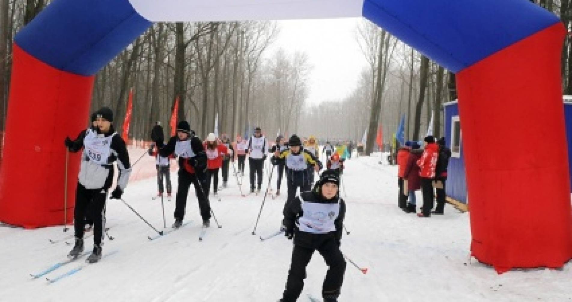 Отдыхай после прогулок 2